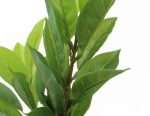 Planta artificial Nº2 FICUS AUDREY - Imagen 2